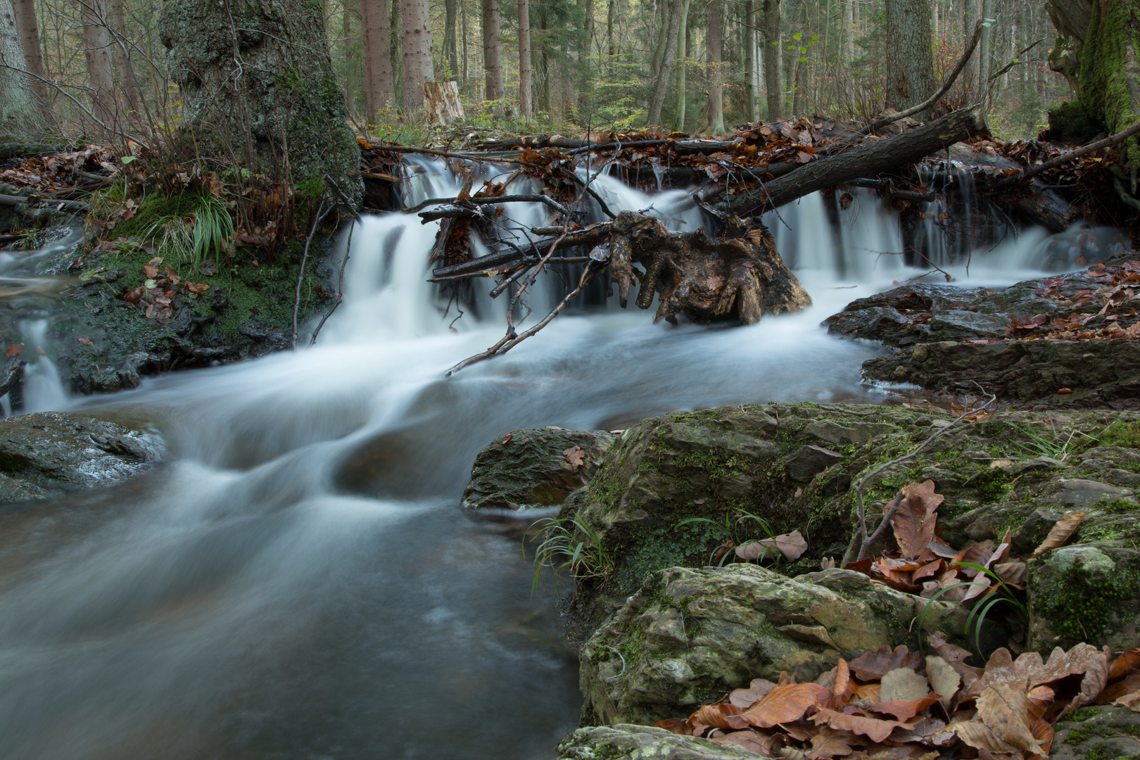 Herbstwasser