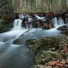 Herbstwasser