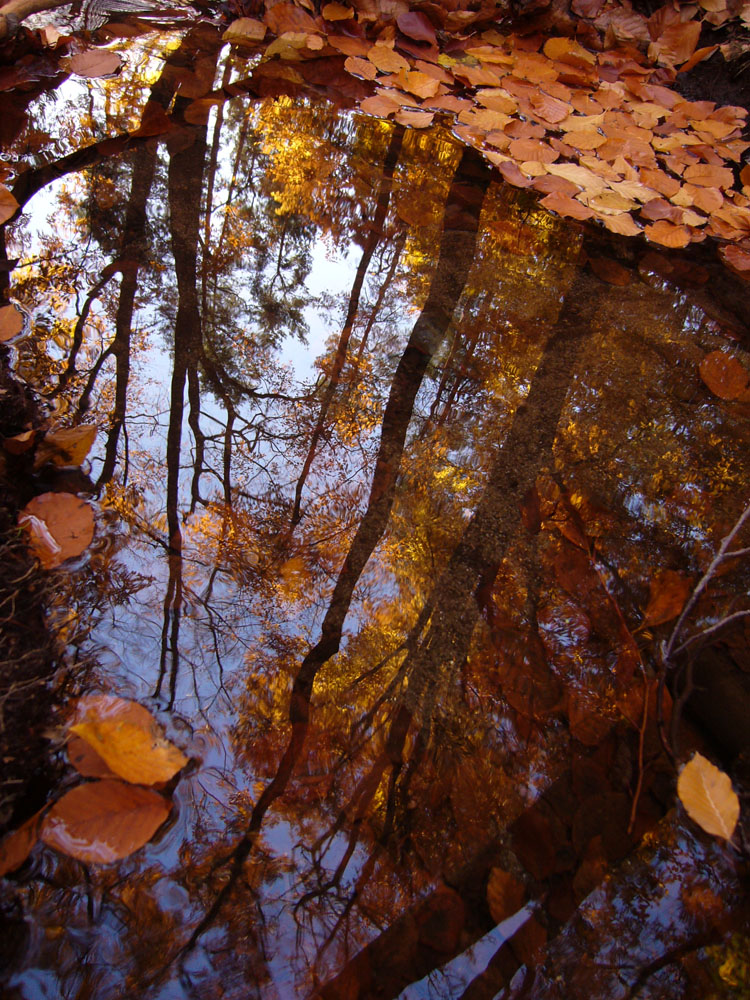 Herbstwasser