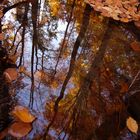 Herbstwasser