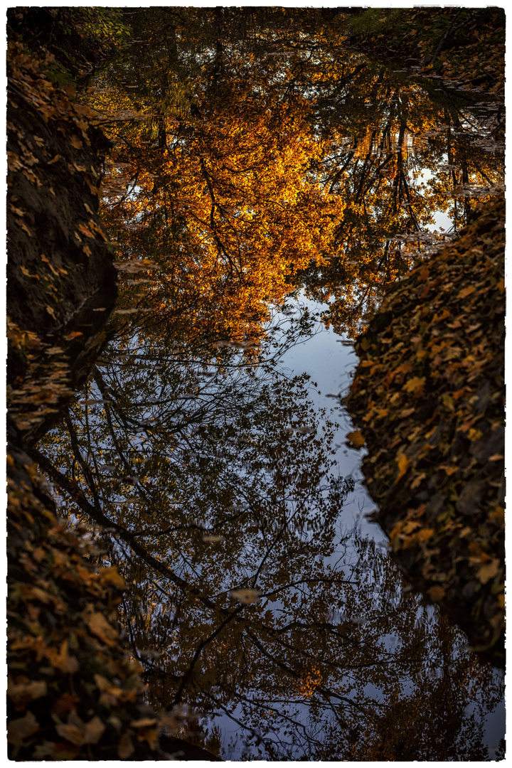 Herbstwasser