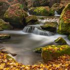 *Herbstwasser*