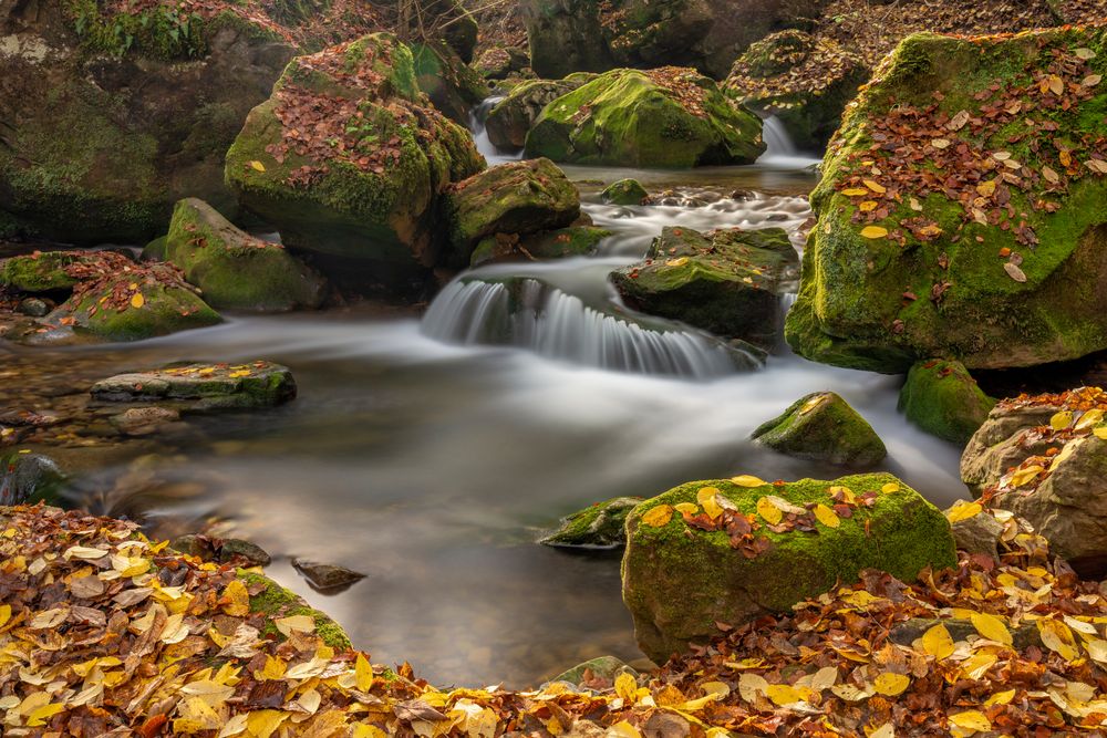 *Herbstwasser*