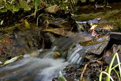 herbstwasser