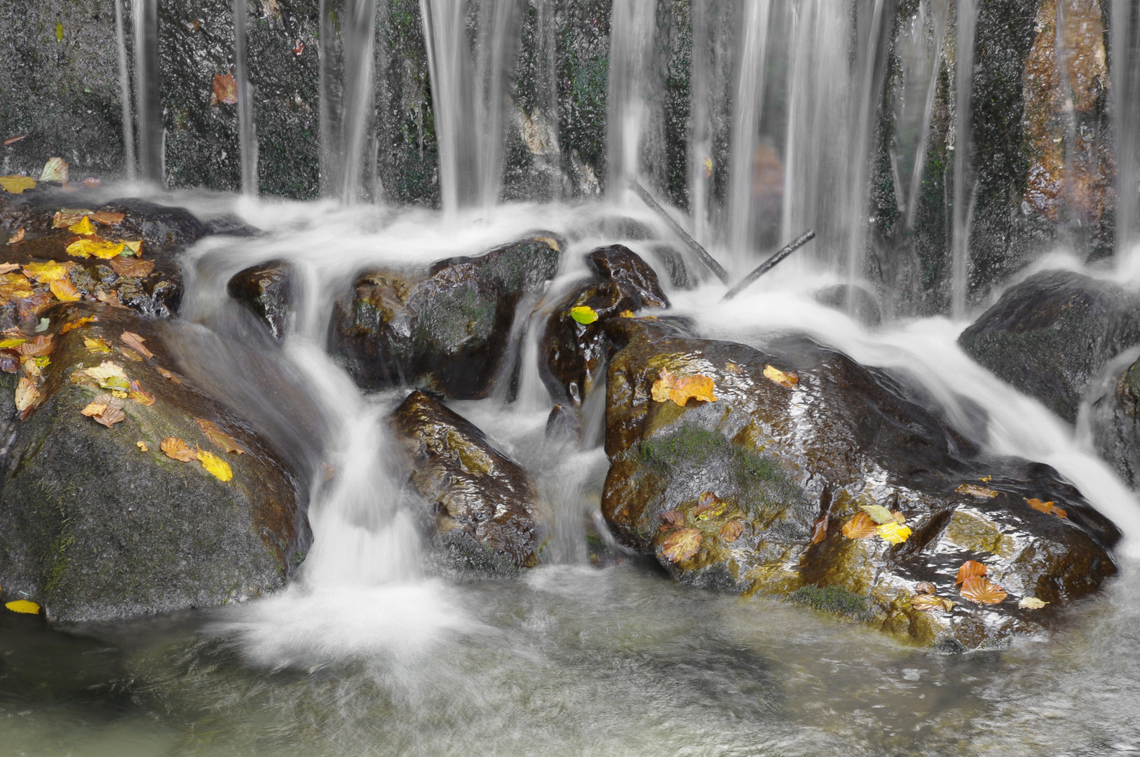 Herbstwasser