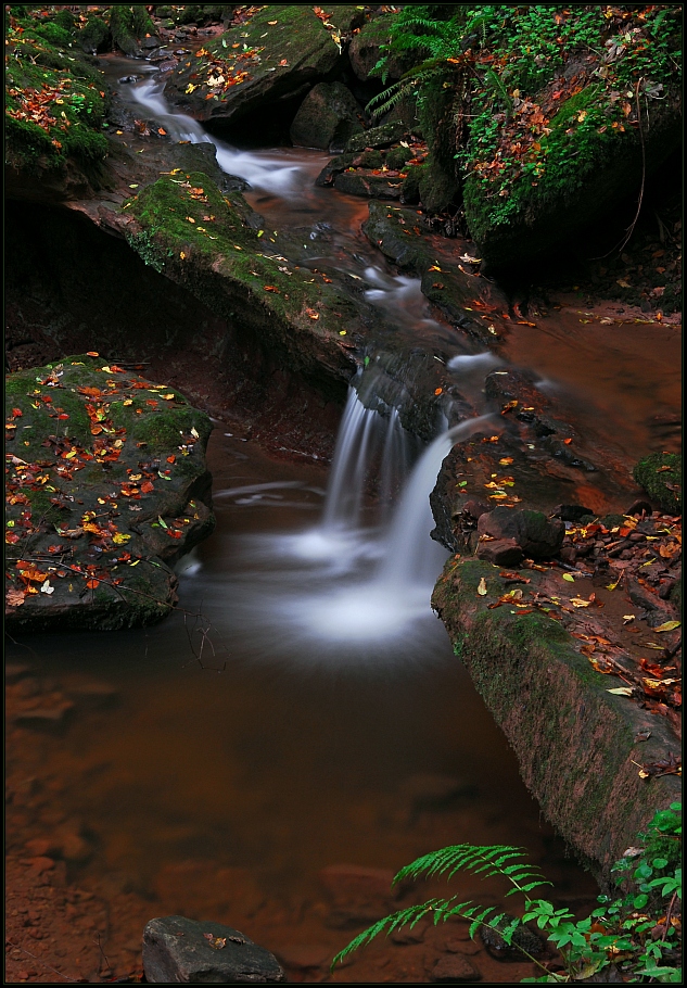 Herbstwasser