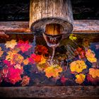 Herbstwasser