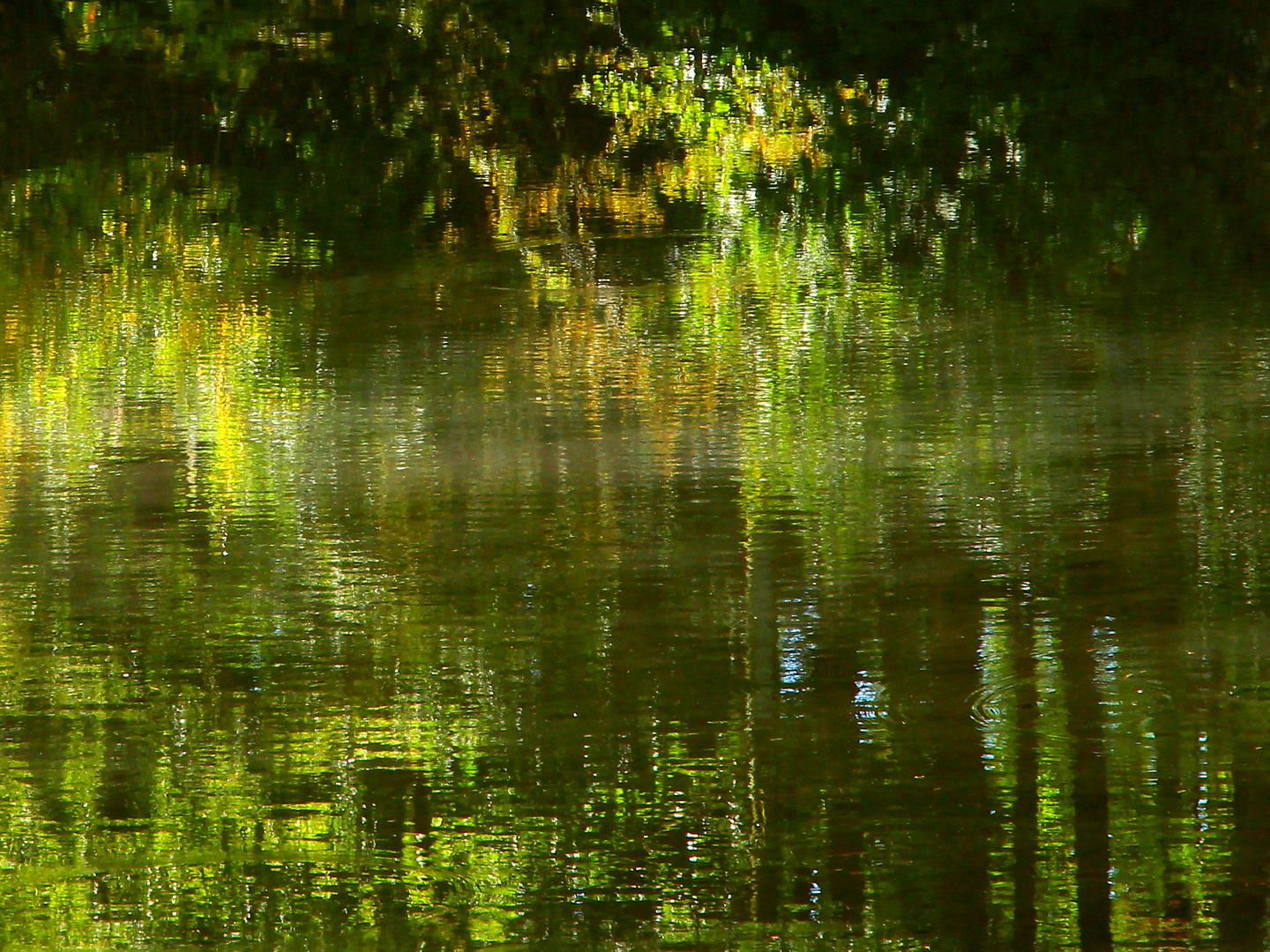 Herbstwasser...