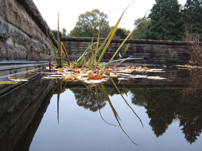 Herbstwasser