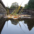 Herbstwasser