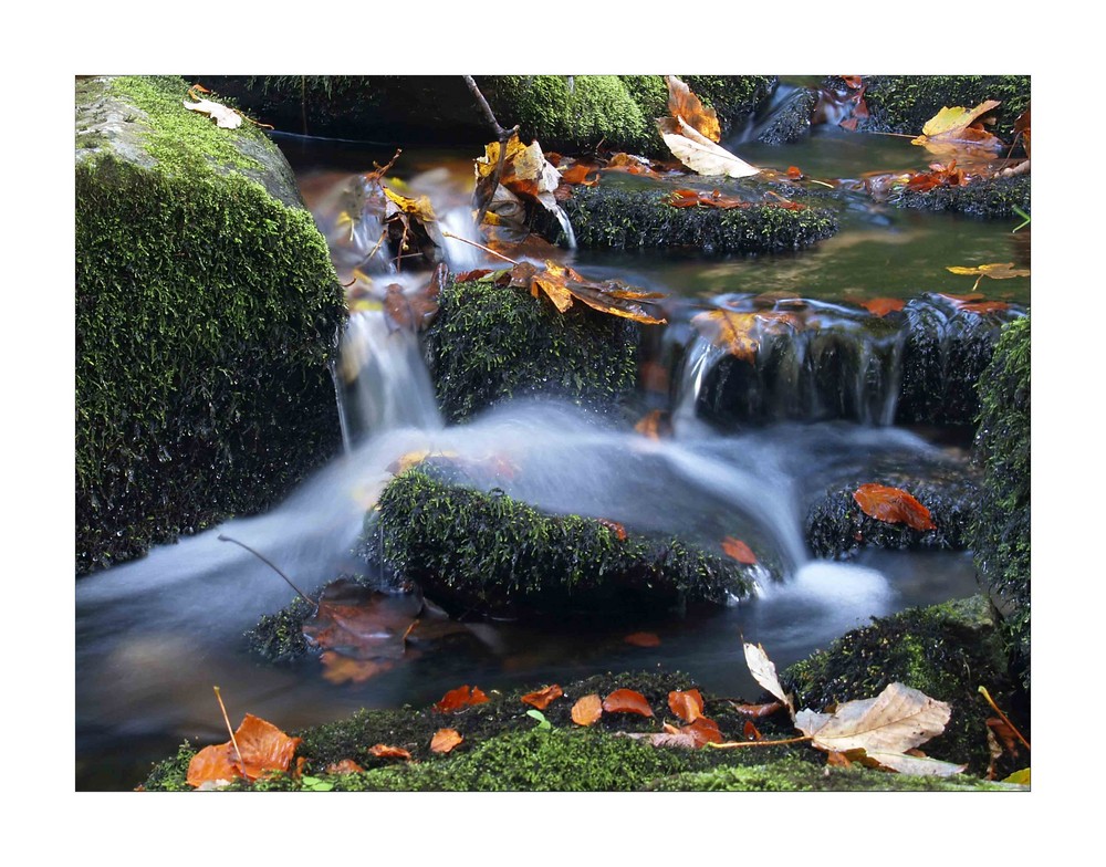 Herbstwasser