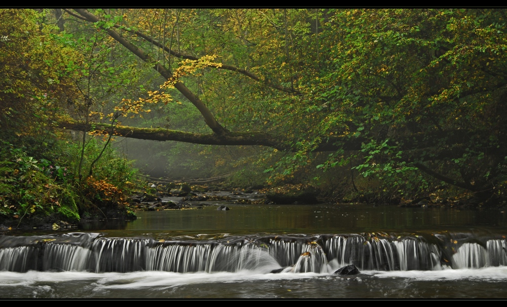 Herbstwasser II