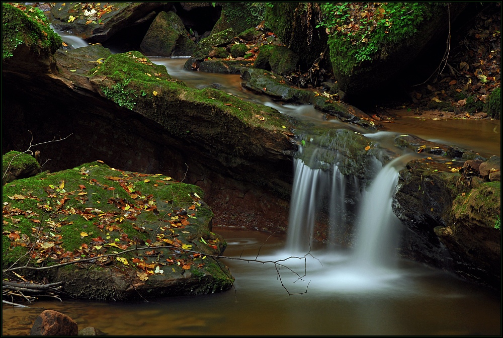 Herbstwasser IV