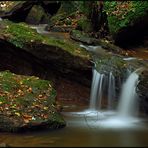 Herbstwasser IV