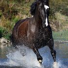 Herbstwasser-Shooting