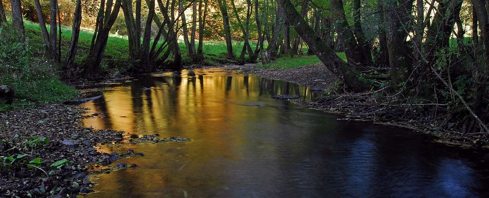 Herbstwasser V