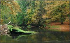 Herbstwasser VI