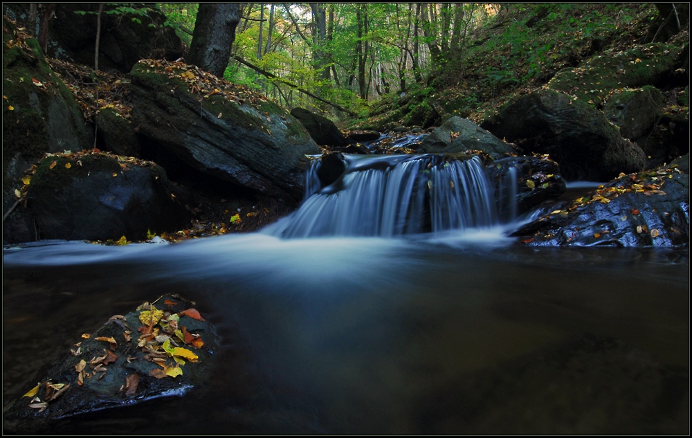 Herbstwasser VIII