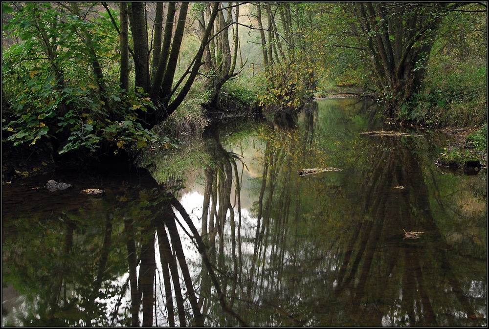 Herbstwasser X