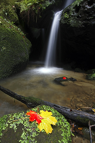 Herbstwasserfall