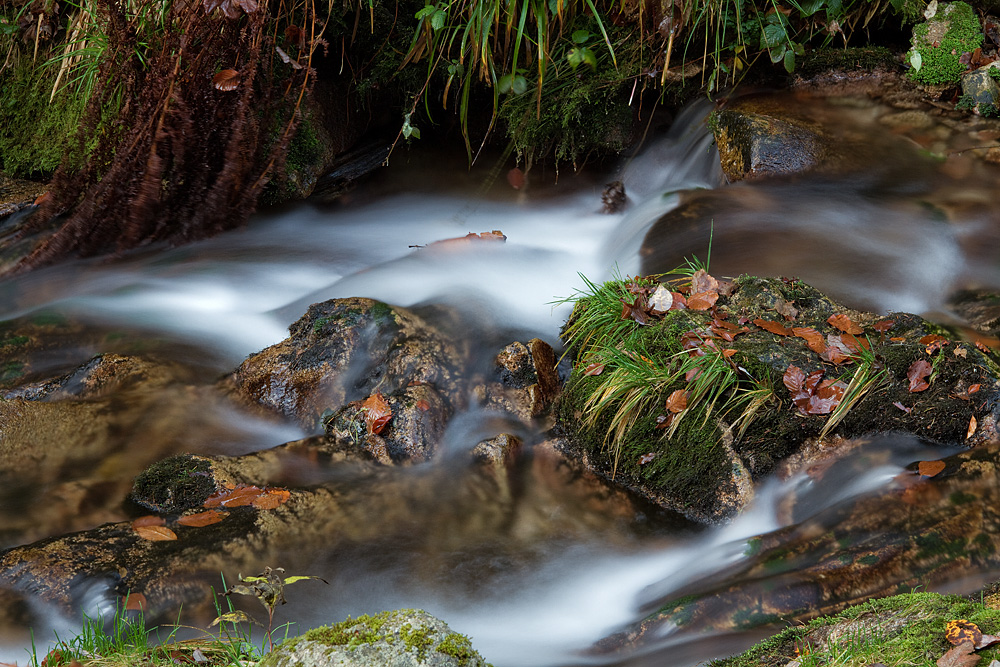 Herbstwasserfarben..... (1)