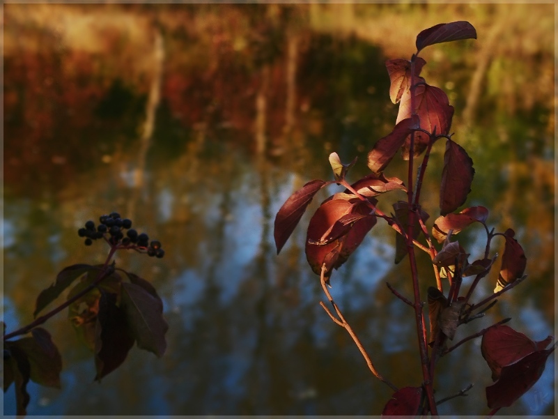 herbstwasserfarben