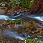 Herbstwasserfarben...(2)