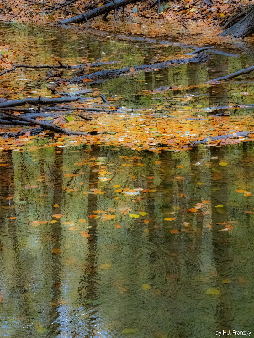 Herbstwasserspiegelung