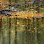 Herbstwasserspiegelung