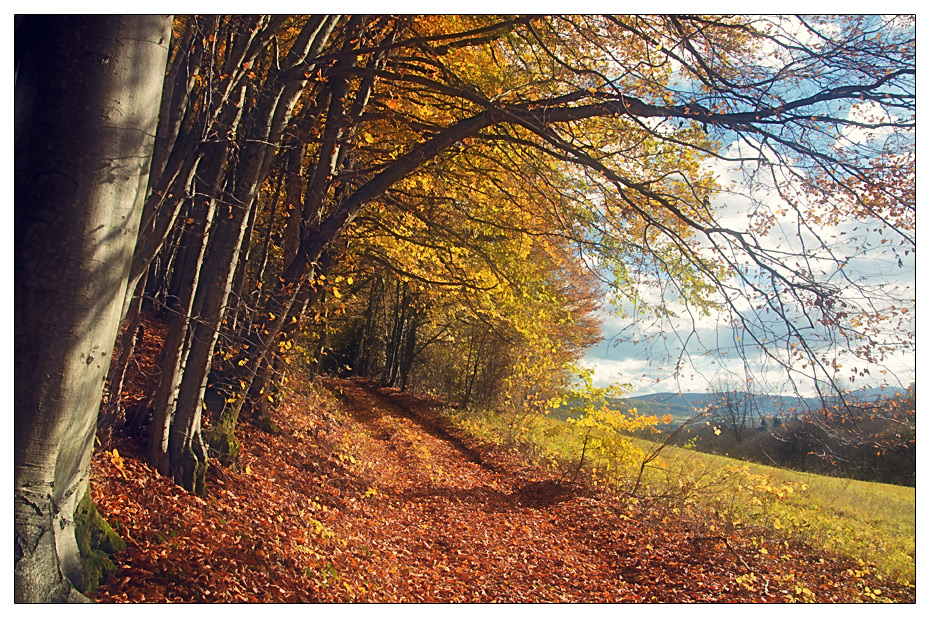 .HerbstWeg.