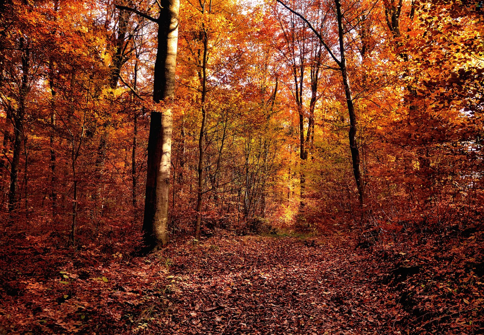 herbstweg