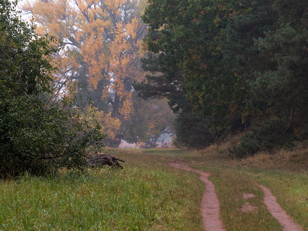 Herbstweg