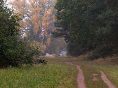 Herbstweg