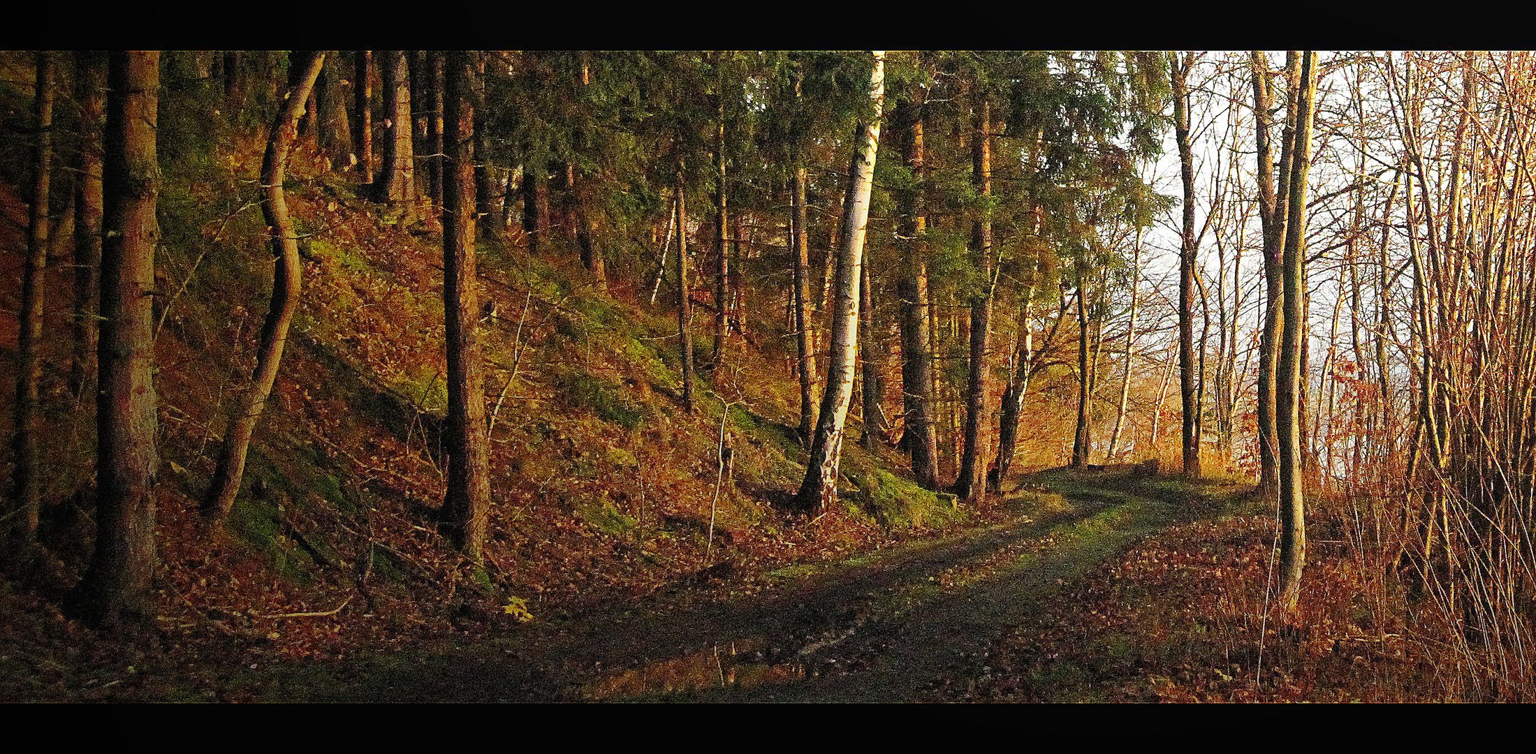 Herbstweg.