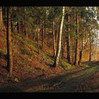 Herbstweg.