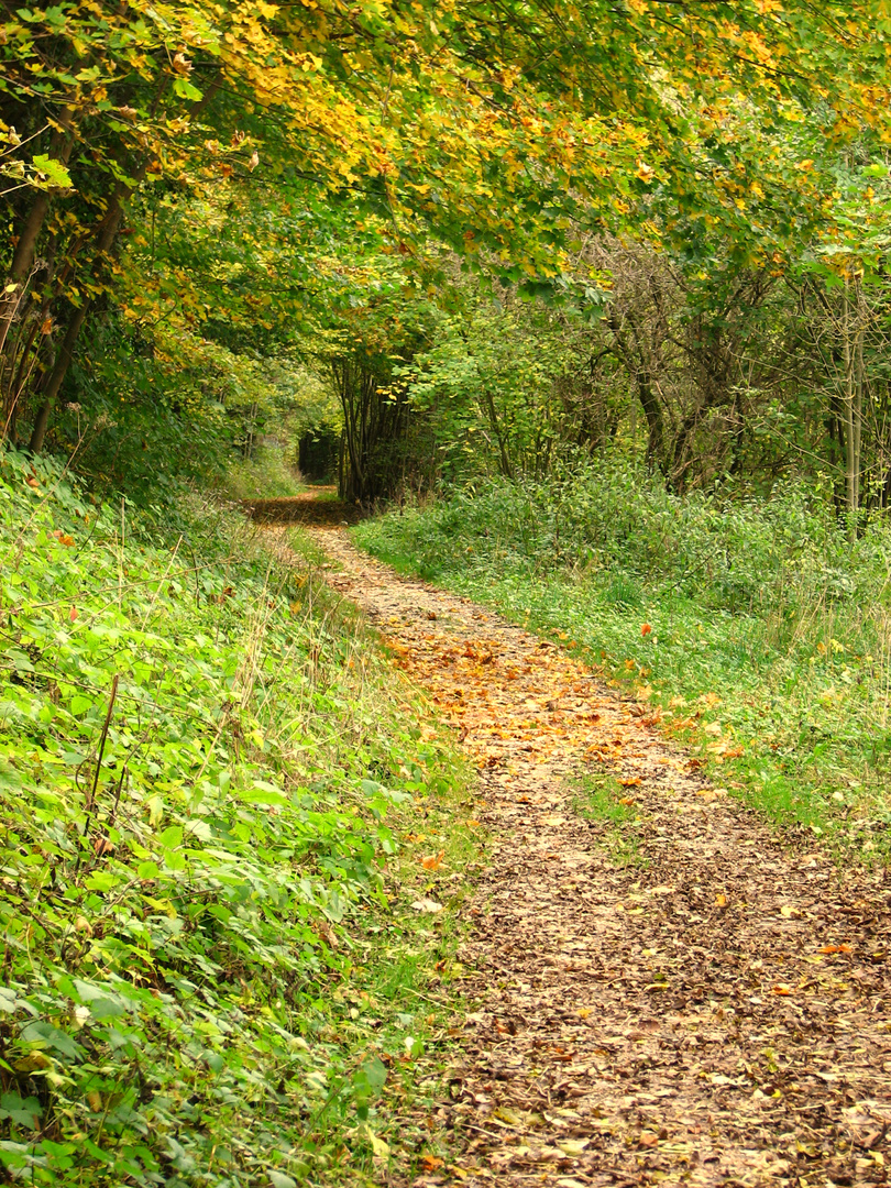 Herbstweg