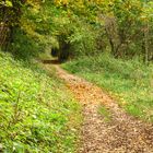 Herbstweg