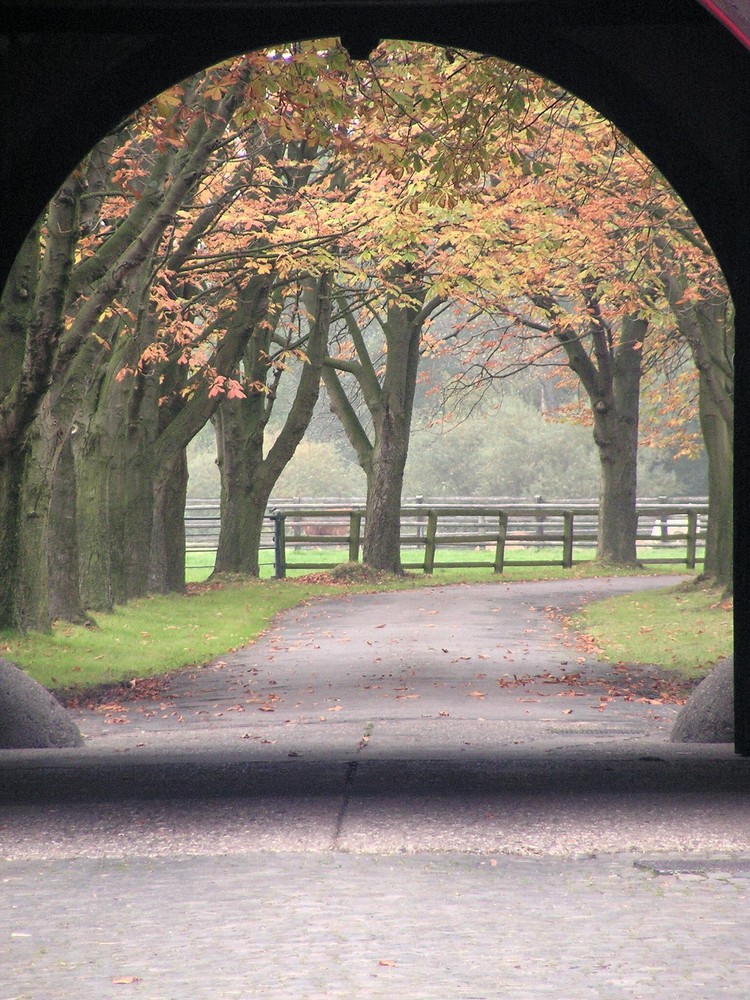 Herbstweg