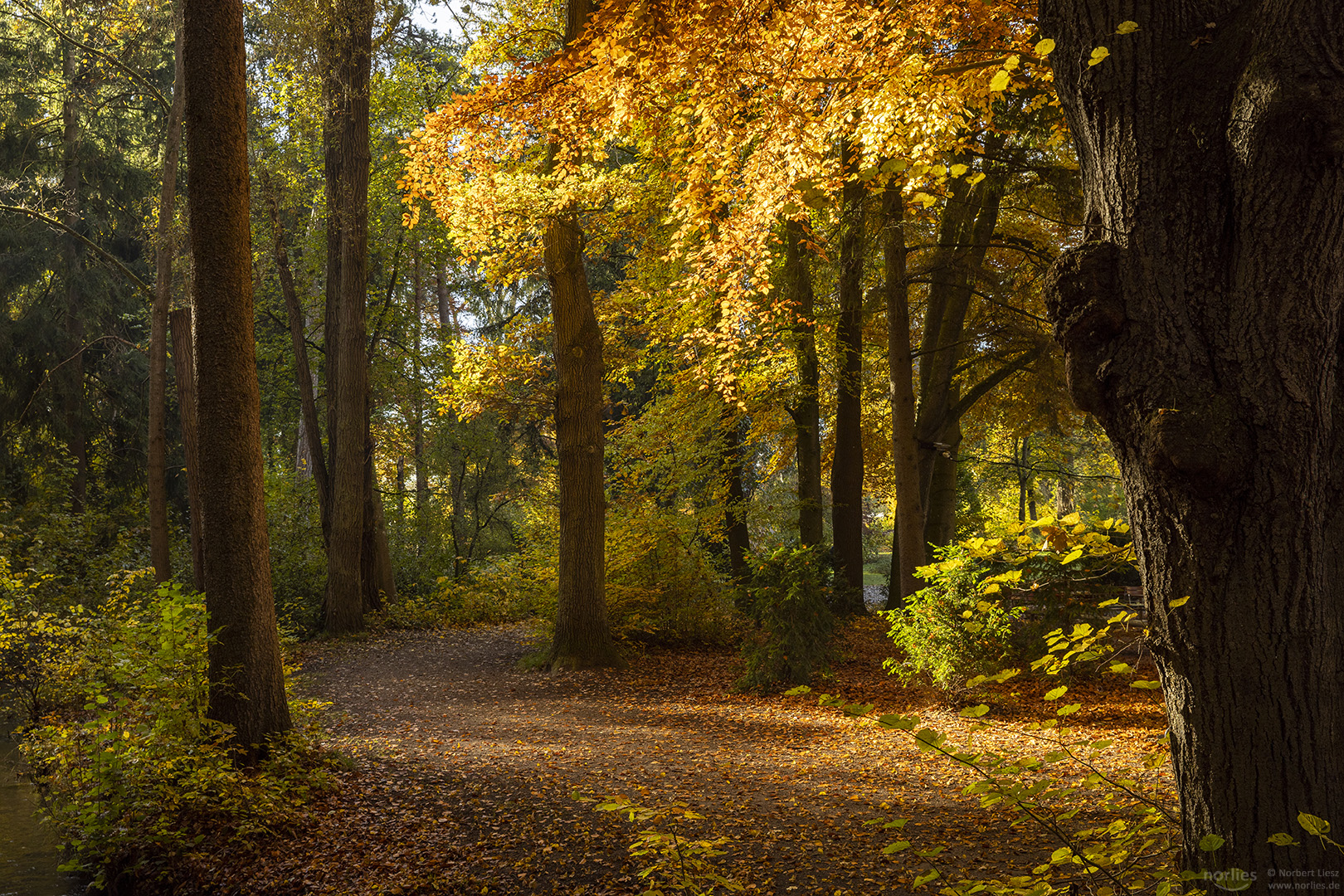 Herbstweg