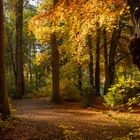 Herbstweg