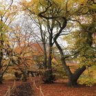 herbstweg 1