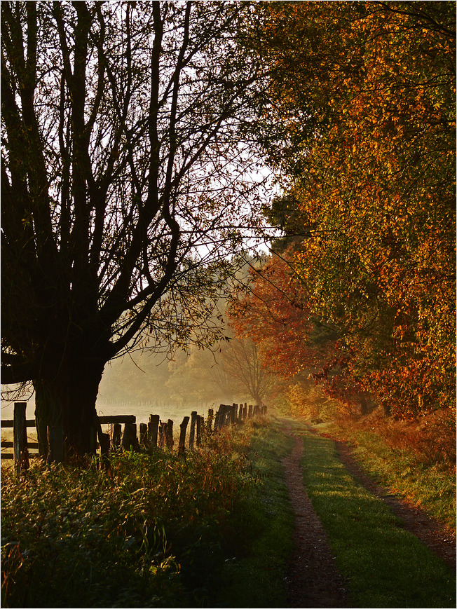 Herbstweg