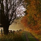 Herbstweg