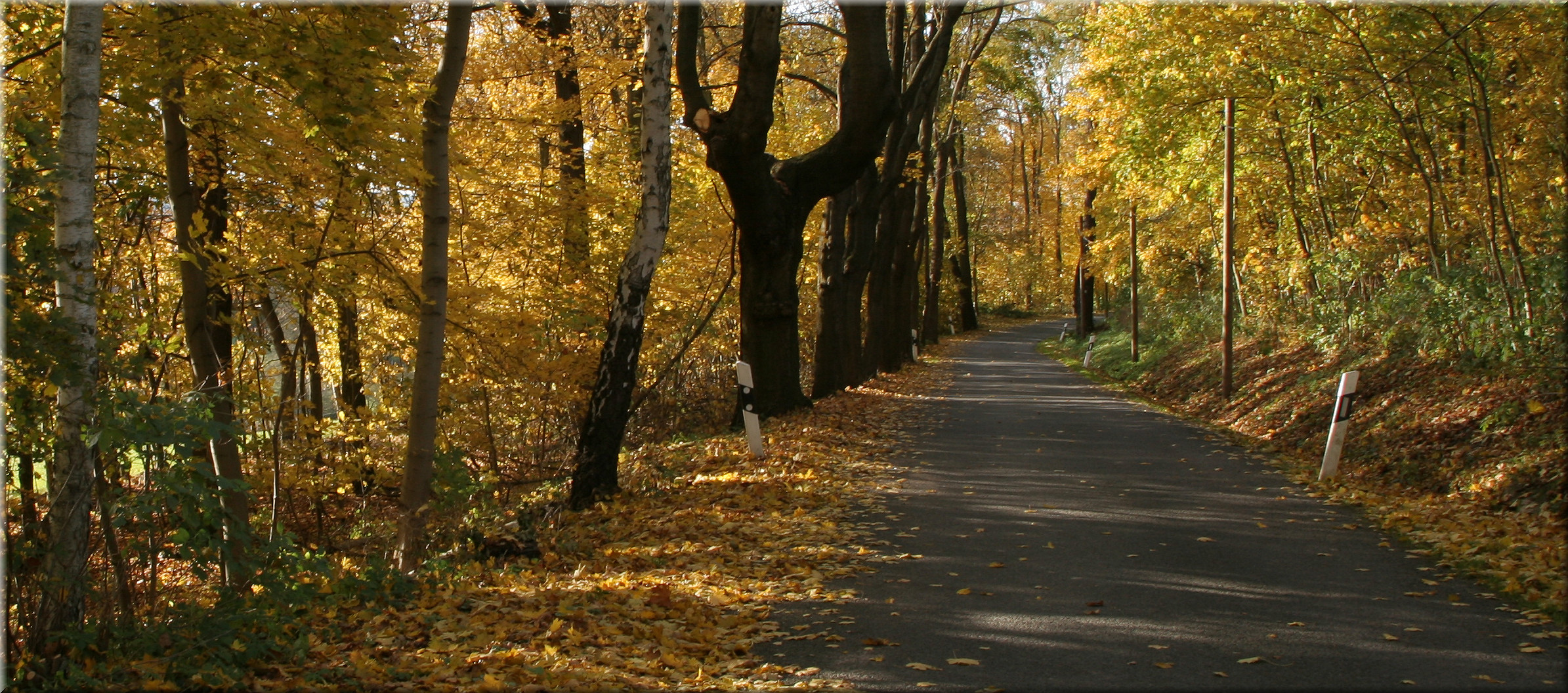 Herbstweg