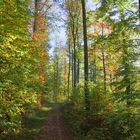 Herbstweg