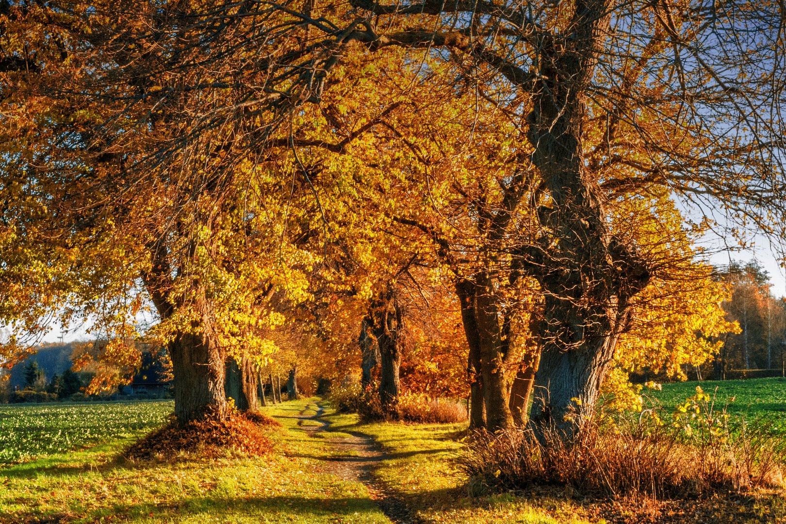 Herbstweg