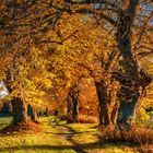 Herbstweg