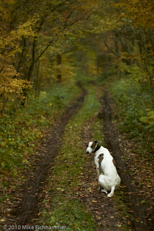 Herbstweg