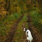 Herbstweg