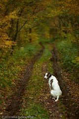 Herbstweg